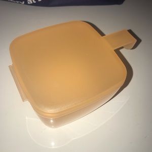 Tupperware Forget Me Not Cheese Keeper